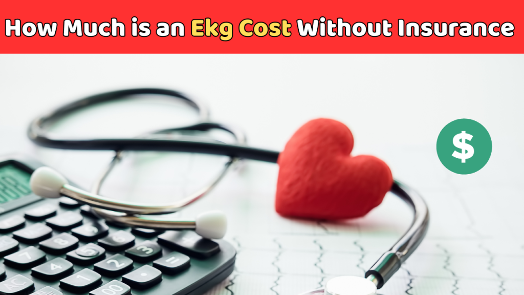 How Much is an Ekg Cost Without Insurance 