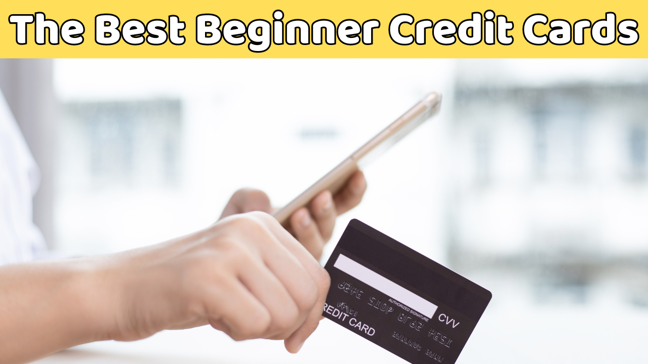 Best Beginner Credit Cards